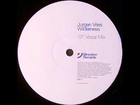 {Vinyl} Jurgen Vries - Wilderness (12