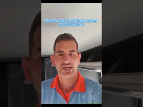 Saindo de Brotas de Macaúba,Bahia!#ViaçãoEmtram   #Viagem