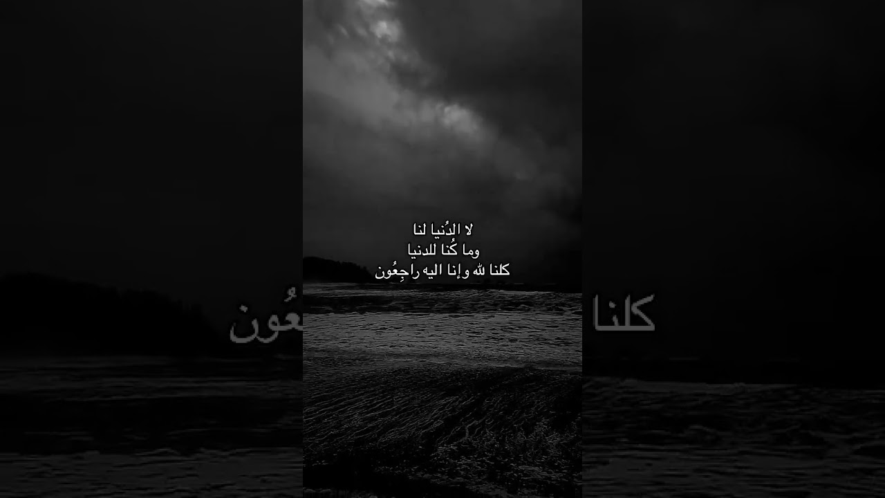 حذفت كل فيديوهاتها ...انا وحده من اقربائها.