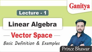 Vector Space in Linear Algebra | Ganitya