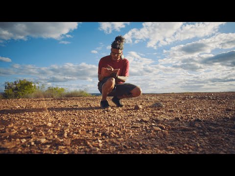 Cacauaré: Gemini no Gmail / Google