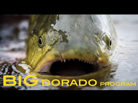 Suindá Lodge - Big fish program