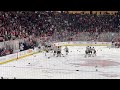 Hershey Bears game 7 overtime goal against Coachella Valley Firebirds to win the Calder Cup