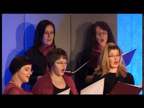 Plamenke - Vandrovc je privandrov