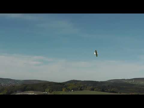 Eleganz Nurflügler mit 3,1m Spannweite