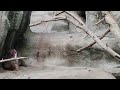 Detroit Zoo Part 1 Royal Oak Michigan USA Mohammed Khan