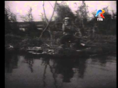 Nicu Constantin, Aurelian Andreescu, Dumitru Rucareanu