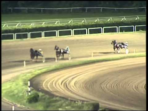 Trotto 09/10/2014 - 3° prova di riqualifica