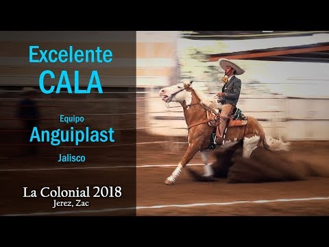 EXCELLENT COVE 45 pts - Cuco Raya Shelter - La Colonial de Jerez 2018