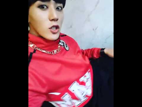 (제이제이씨씨) Beagle-stagram #JJCC Simba Makes  Us Dizzy [No audio]