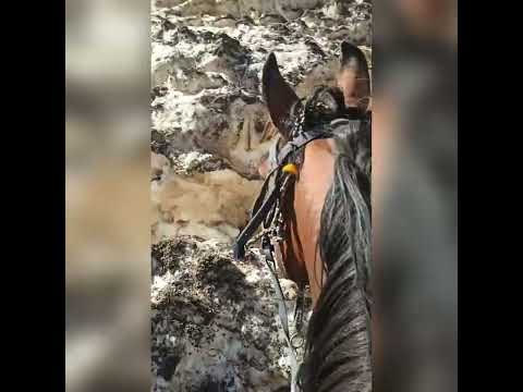 The Weather in Tajikistan #Badakhshon #travel #darvoz #Ishkoshim #khorog  #Murgob  #tajikistan