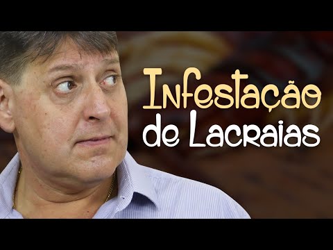 PTD nº 571 - Lacraias estão ligadas a algum tipo de demanda?