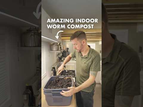 Indoor Worm Composting Guide: Start Your Own System