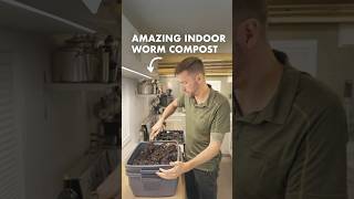 Amazing Indoor Worm Composting! HOW TO GUIDE #garden #compost #permaculture #shorts
