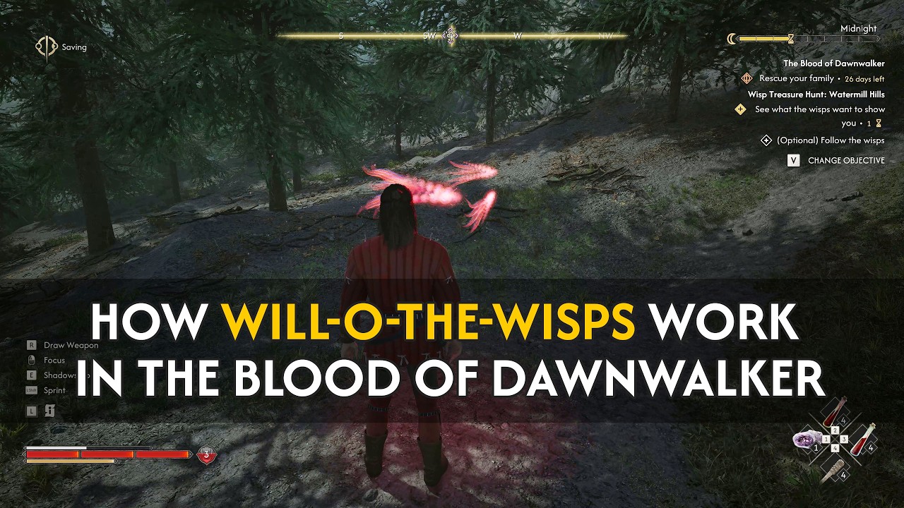 Dawnwalker: How Will-o-the-Wisps work in The Blood of Dawnwalker - Video Guide