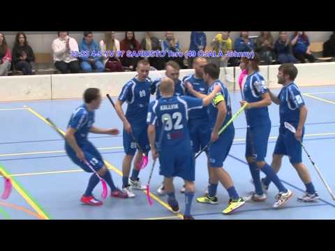 Blue Fox - PirPi la 2.1.2016