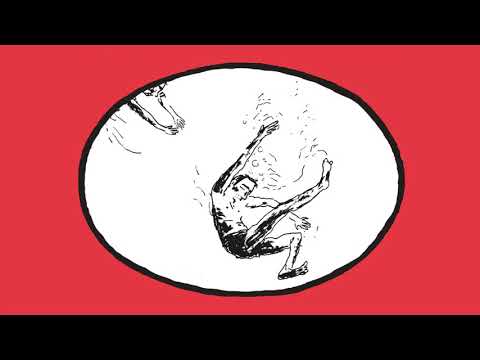 Booktrailer -  Jeanine