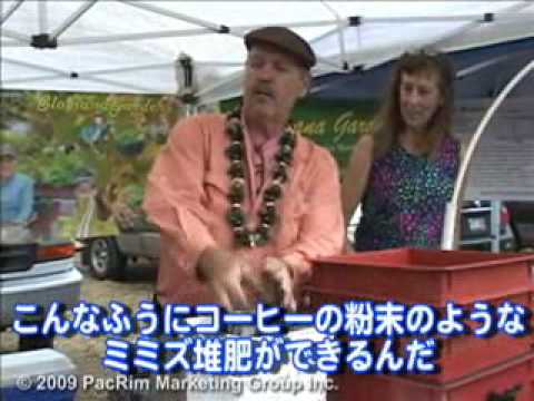 なぜ私の堆肥は悪臭を放つのですか? ネズミやミミズ、昆虫を引き寄せるのですか? どうすればよいですか? アンナ・ホイチュク シャッターストック