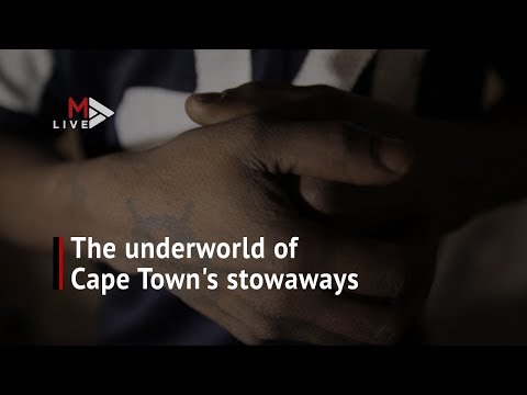 'You run away to die sometimes' The underworld of Cape Town's stowaways