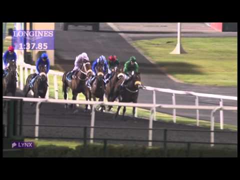 28.02.2013 Meydan (Dubai-UAE) 4.Race Al Dana Visa Infinite Card -1.600 m