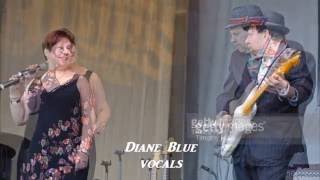 Ronnie Earl & The Broadcasters  ~  ''Follow Your Heart''&''It Takes Time'' 2015