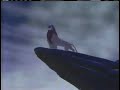 The Lion King 1 ½ Commercial 2004