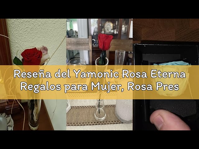 Vídeo relacionado con Gdecora Rosa Eterna Preservada Rojo Natural con Tallo 55cm Mujer,Mamá,Novia,Abuela - Flor Infinita para Cumpleaños, Sant Jordi y Día de la Madre - Rosas Preservadas de Ecuador