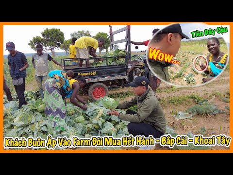 , title : 'Quanglinhvlogs || Khách Buôn Ập Vào Quang Linh Farm Đòi Mua Hết Bắp Cải - Khoai Tây - Hành !!!'