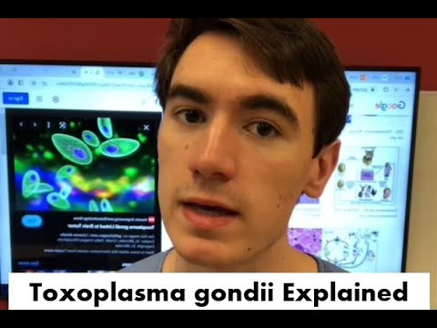 Toxoplasmosis EXPLAINED! (Toxoplasma gondii)