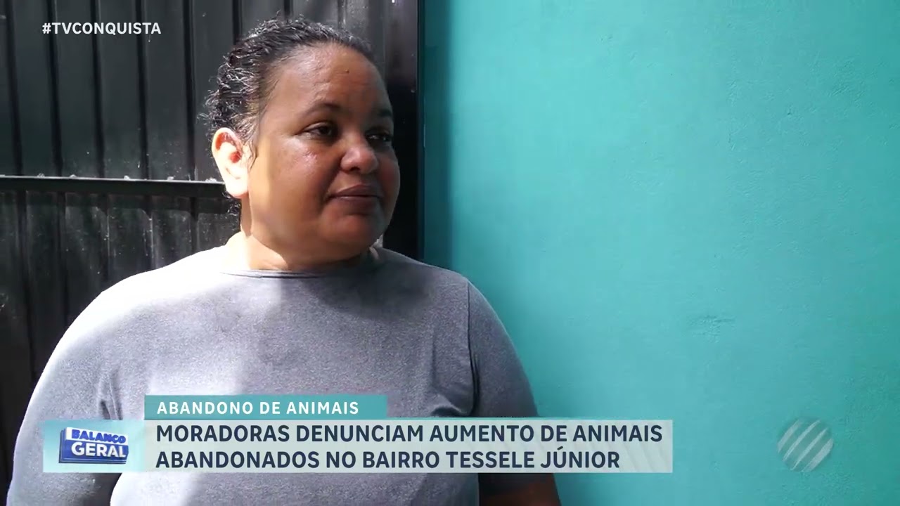 Abandono de animais cresce e preocupa moradores em Lucas do Rio Verde