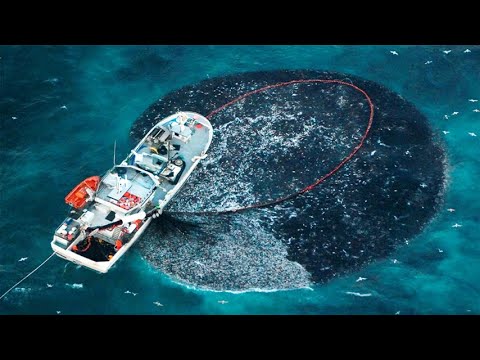 Amazing Giant Net Catch Hundreds Tons of Salmon Fish - Most Satisfying Sea Fishing Video