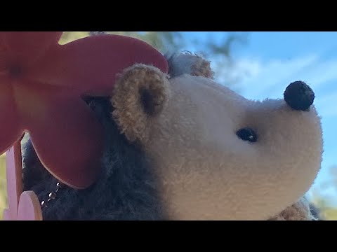 Don’t blame me (dead bakugou au ) _Nebula_