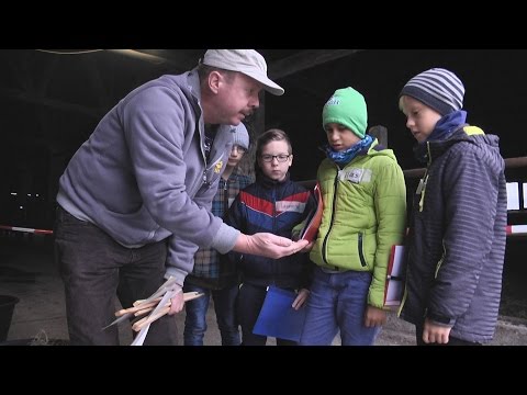 Projekttage des Schwalbennest e.V. in Möglenz