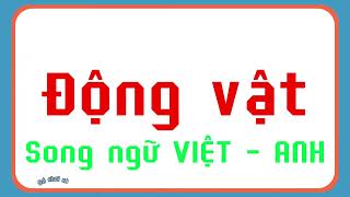 ​@OCHOICUABEE thẻ học thông minh, nhiều loài ĐỘNG VẬT đáng iu, song ngữ, giọng đọc cute
