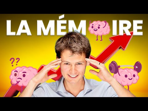 Become a learning machine (feat. the French memory champion)