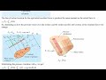 3O04 L03 Fluid Statics
