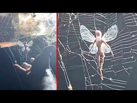 Fairies tak2, camera a lak fuh‼️Hei chu a lem tiin a sawi theih tawh loh😳😳‼️