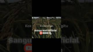 Download lagu Story WA Gus Baha 30 Detik | Jaga Lisan Kita .. #shorts mp3