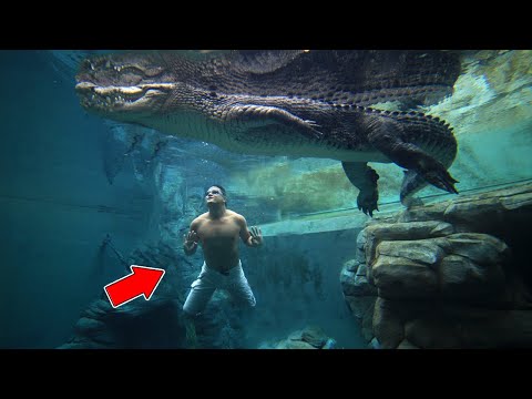 🏊 TOP 8 neskutečných bazénů světa !