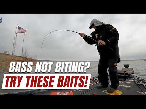 Top 3 Baits for January Bass Fishing when nothing is biting!