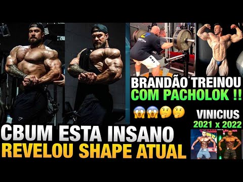 CBUM REVELA SHAPE ATUAL INSANO - BRANDÃO TREINA COM PACHO NA IRONBERG - VINI 2021 VS 2022 E MAIS