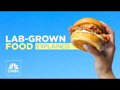 Lab-grown meat is on the rise — here's how it is made