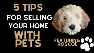 Selling your Home with Pets