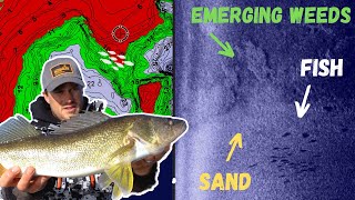 Early Summer Walleyes | Locations & Presentations + Side Imaging & LiveScope