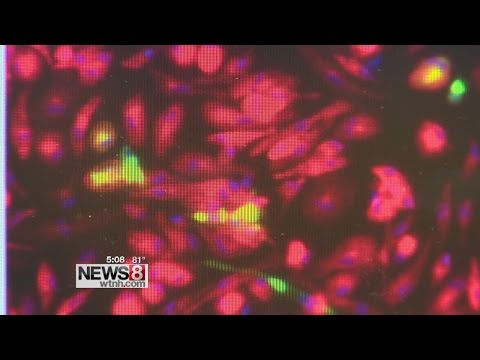 Yale study identifies cells in human placenta that can carry Zika virus