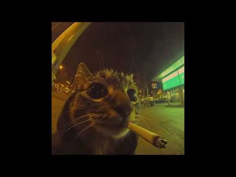 (Free) Joey Bada$$ x Boom Bap Type Beat | "The Night " | Prod. Skywum☆