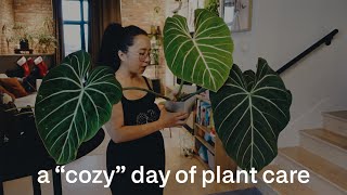 slow & cozy plant day 🌱 | 1 hour of houseplant care + life lately