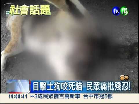 恨到入骨?! 狠心婦放狗咬死貓