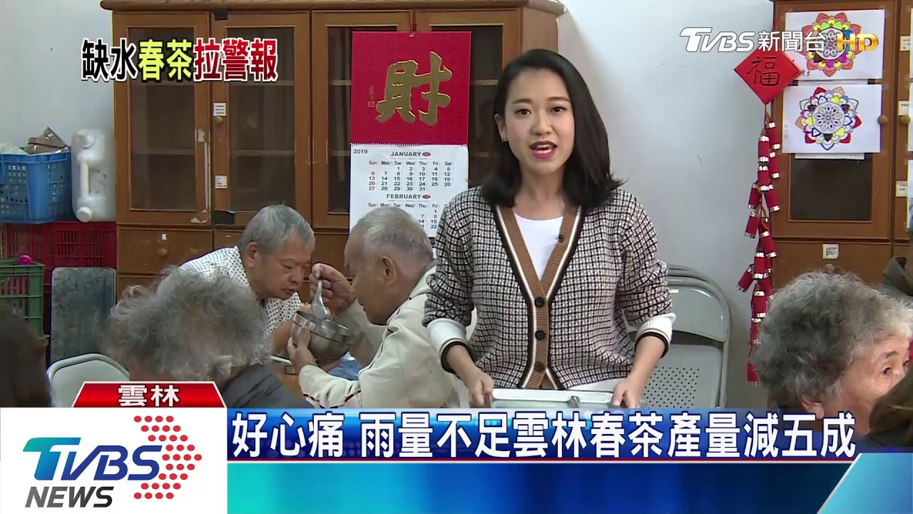 農友哭哭！暖冬＋乾旱　春茶產量掉五成