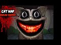 Catnap ANALOG HORROR Poppy Playtime 5 EXPLAINED